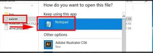 How To Host A Minecraft Server Free – Bleeping World