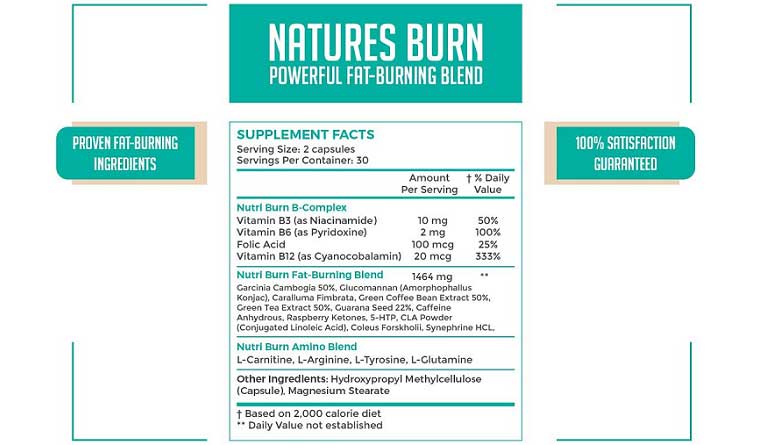 NutriChem Labs NATURES BURN main ingredients and supplements