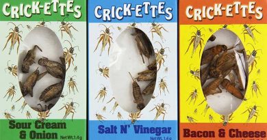 Crickets-Sampler-Gift-Pack-800x445m