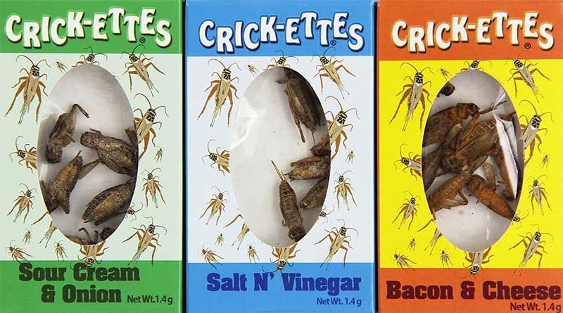 Crickets-Sampler-Gift-Pack-800x445m