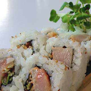 Different types of sushi rolls energy roll 320x320m