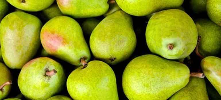 Foods to Feed Your Dog That Are Healthier Than Treats Pears 770