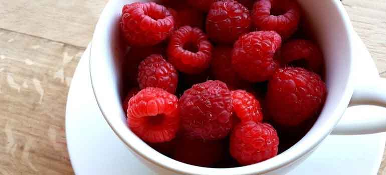 Foods to Feed Your Dog That Are Healthier Than Treats Raspberries 770