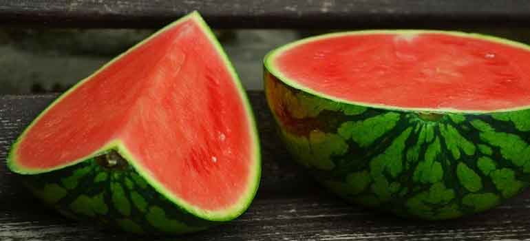 Foods to Feed Your Dog That Are Healthier Than Treats Watermelon