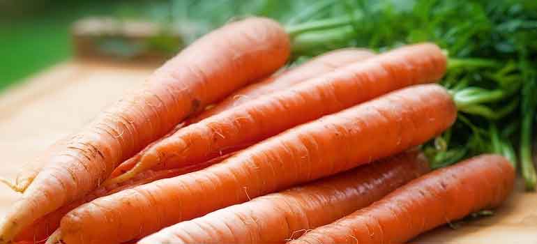 Foods to Feed Your Dog That Are Healthier Than Treats carrots 770