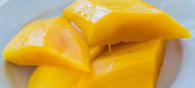 Foods to Feed Your Dog That Are Healthier Than Treats mangoes