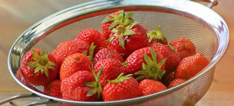 Foods to Feed Your Dog That Are Healthier Than Treats strawberries