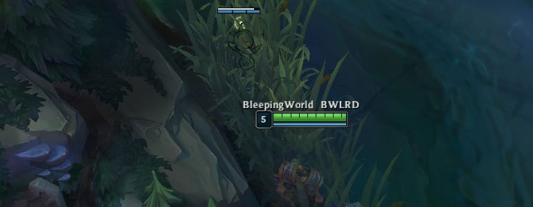 League of Legends Tips to Play Better ward brush 770