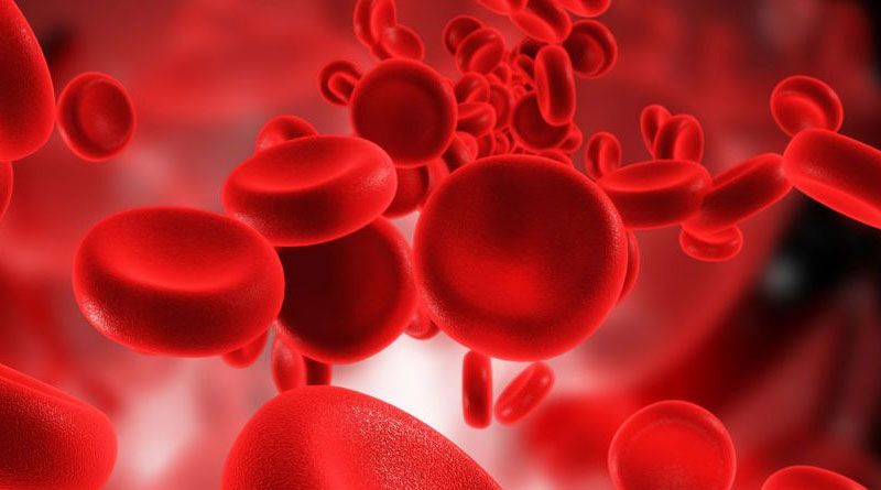 Top 35 Foods to Increase Blood Platelets Count Naturally 800x445