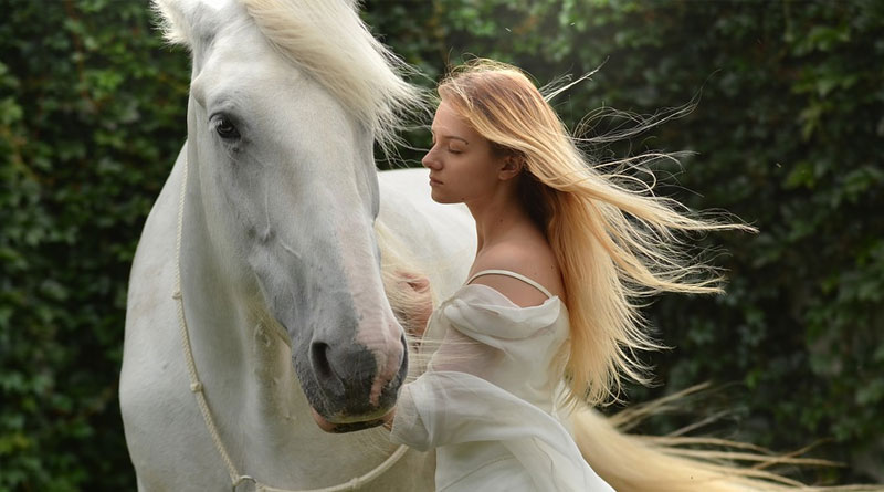 What Every Beginner Should Know When Learning to Ride a Horse