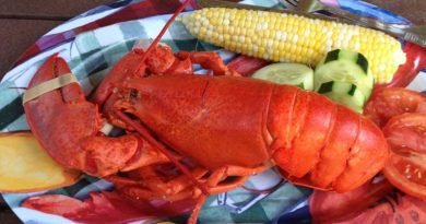 how to boil a lobster 800x445