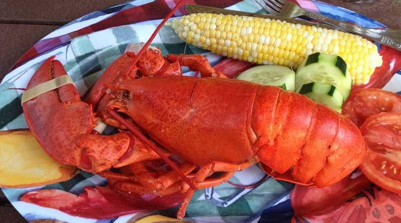 how to boil a lobster 800x445