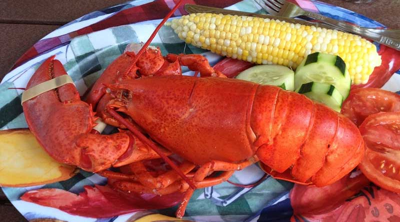 how to boil a lobster 800x445