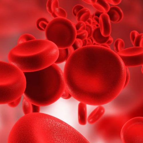 Top 35 Foods to Increase Blood Platelets Count Naturally